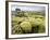 Lava Field Covered in Green Moss, South Iceland, Iceland, Polar Regions-Lee Frost-Framed Photographic Print