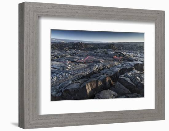 Lava field, Kalapana, Big Island, Hawaii-Maresa Pryor-Framed Photographic Print