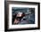 Lava Flow Carrying Automobiles-null-Framed Photographic Print