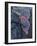 Lava flow from Kapa'ahu, Kalapana, Big Island, Hawaii-Maresa Pryor-Framed Photographic Print