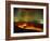 Lava Flow from the Monti Calcarazzi Fissure on the Flank of Mount Etna in 2001 Sicily, Italy-Robert Francis-Framed Photographic Print