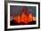 Lava Fountains at the Holuhraun Fissure Eruption Near Bardarbunga Volcano, Iceland-null-Framed Photographic Print