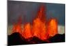 Lava Fountains at the Holuhraun Fissure Eruption Near Bardarbunga Volcano, Iceland-null-Mounted Photographic Print