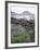 Lava from 1973 Eruption in Foreground, Island of Heimaey, Westmann Islands, Iceland, Polar Regions-Geoff Renner-Framed Photographic Print