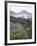 Lava from 1973 Eruption in Foreground, Island of Heimaey, Westmann Islands, Iceland, Polar Regions-Geoff Renner-Framed Photographic Print