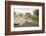 Lava from Kilauea Volcano Consumes Home-Bettmann-Framed Photographic Print