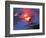 Lava from the Kilauea Volcano-null-Framed Photographic Print