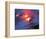 Lava from the Kilauea Volcano-null-Framed Photographic Print