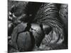 Lava, Hawaii, 1982-Brett Weston-Mounted Premium Photographic Print