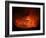 Lava Lake in Pit Crater, Nyiragongo Volcano, Democratic Republic of Congo-Stocktrek Images-Framed Photographic Print