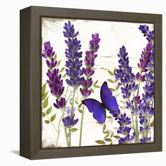 Lavande I-Color Bakery-Framed Premier Image Canvas