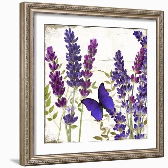 Lavande I-Color Bakery-Framed Giclee Print