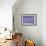 Lavandin Lavender with Single Sunflower-null-Framed Photographic Print displayed on a wall