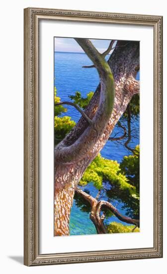 Lavandou III-Adriano Galasso-Framed Art Print