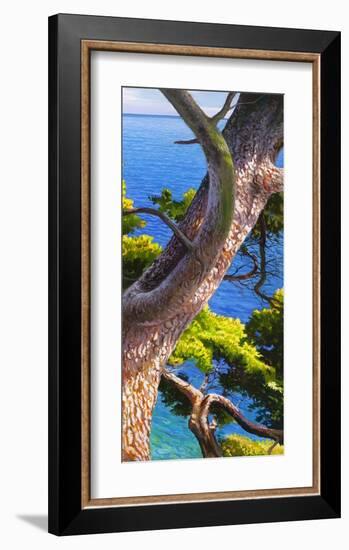 Lavandou III-Adriano Galasso-Framed Art Print