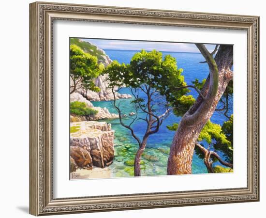 Lavandou-Adriano Galasso-Framed Art Print