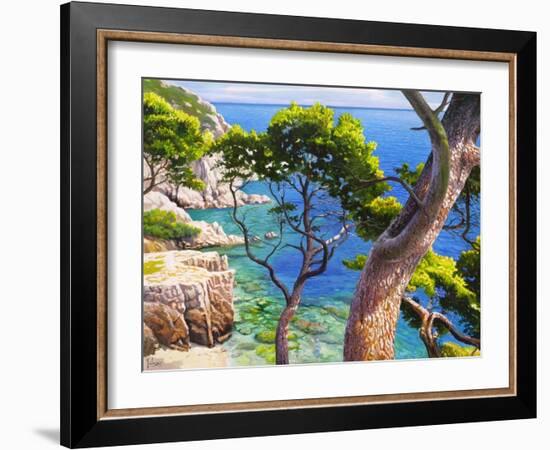 Lavandou-Adriano Galasso-Framed Art Print