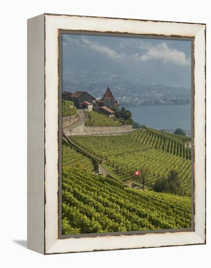 Lavaux Terraced Vineyards on Lake Geneva, Montreux, Canton Vaud, Switzerland, Europe-Angelo Cavalli-Framed Premier Image Canvas