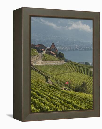 Lavaux Terraced Vineyards on Lake Geneva, Montreux, Canton Vaud, Switzerland, Europe-Angelo Cavalli-Framed Premier Image Canvas
