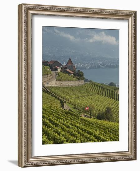 Lavaux Terraced Vineyards on Lake Geneva, Montreux, Canton Vaud, Switzerland, Europe-Angelo Cavalli-Framed Photographic Print