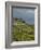 Lavaux Terraced Vineyards on Lake Geneva, Montreux, Canton Vaud, Switzerland, Europe-Angelo Cavalli-Framed Photographic Print