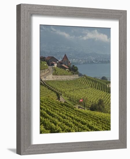 Lavaux Terraced Vineyards on Lake Geneva, Montreux, Canton Vaud, Switzerland, Europe-Angelo Cavalli-Framed Photographic Print