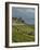 Lavaux Terraced Vineyards on Lake Geneva, Montreux, Canton Vaud, Switzerland, Europe-Angelo Cavalli-Framed Photographic Print