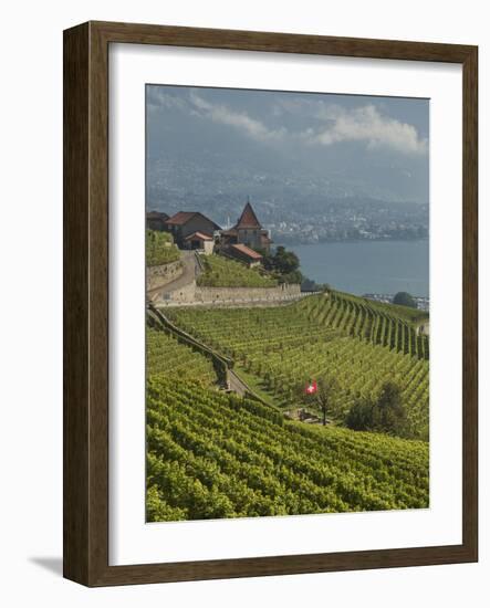 Lavaux Terraced Vineyards on Lake Geneva, Montreux, Canton Vaud, Switzerland, Europe-Angelo Cavalli-Framed Photographic Print