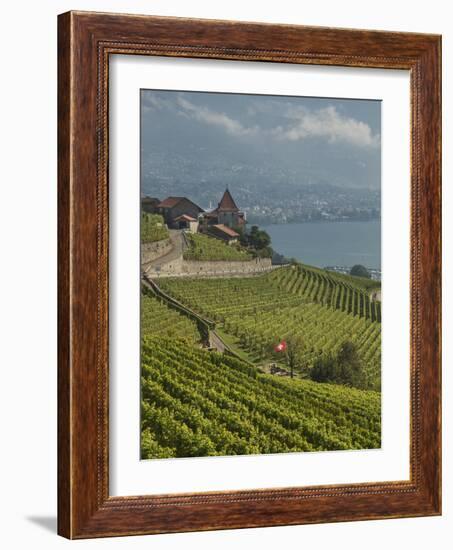 Lavaux Terraced Vineyards on Lake Geneva, Montreux, Canton Vaud, Switzerland, Europe-Angelo Cavalli-Framed Photographic Print