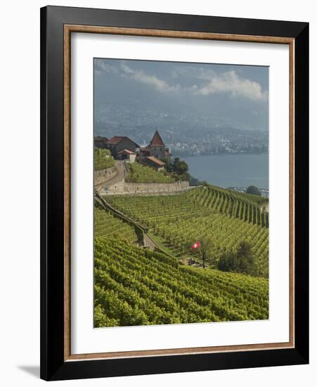 Lavaux Terraced Vineyards on Lake Geneva, Montreux, Canton Vaud, Switzerland, Europe-Angelo Cavalli-Framed Photographic Print