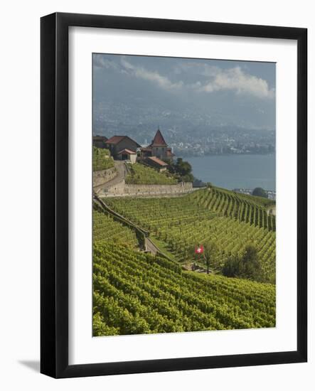 Lavaux Terraced Vineyards on Lake Geneva, Montreux, Canton Vaud, Switzerland, Europe-Angelo Cavalli-Framed Photographic Print