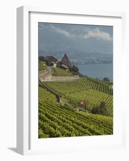 Lavaux Terraced Vineyards on Lake Geneva, Montreux, Canton Vaud, Switzerland, Europe-Angelo Cavalli-Framed Photographic Print