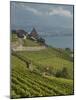 Lavaux Terraced Vineyards on Lake Geneva, Montreux, Canton Vaud, Switzerland, Europe-Angelo Cavalli-Mounted Photographic Print