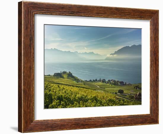 Lavaux Terraced Vineyards on Lake Geneva, Montreux, Canton Vaud, Switzerland, Europe-Angelo Cavalli-Framed Photographic Print