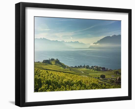 Lavaux Terraced Vineyards on Lake Geneva, Montreux, Canton Vaud, Switzerland, Europe-Angelo Cavalli-Framed Photographic Print