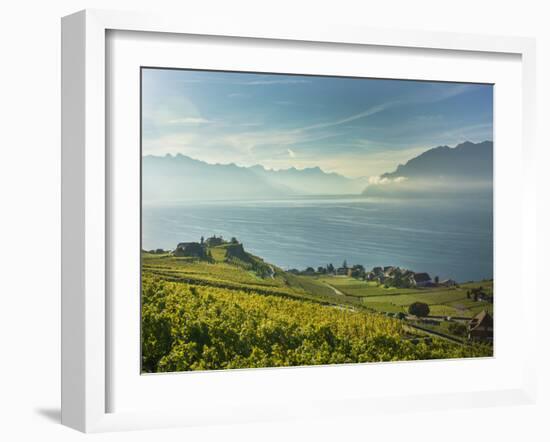 Lavaux Terraced Vineyards on Lake Geneva, Montreux, Canton Vaud, Switzerland, Europe-Angelo Cavalli-Framed Photographic Print