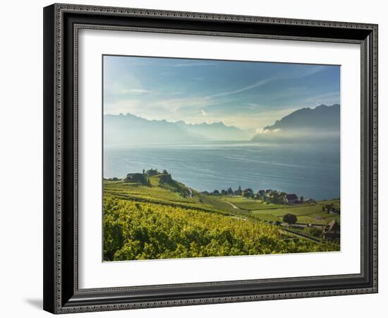 Lavaux Terraced Vineyards on Lake Geneva, Montreux, Canton Vaud, Switzerland, Europe-Angelo Cavalli-Framed Photographic Print