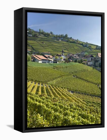 Lavaux Terraced Vineyards on Lake Geneva, Montreux, Canton Vaud, Switzerland, Europe-Angelo Cavalli-Framed Premier Image Canvas