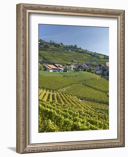 Lavaux Terraced Vineyards on Lake Geneva, Montreux, Canton Vaud, Switzerland, Europe-Angelo Cavalli-Framed Photographic Print