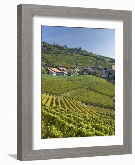 Lavaux Terraced Vineyards on Lake Geneva, Montreux, Canton Vaud, Switzerland, Europe-Angelo Cavalli-Framed Photographic Print