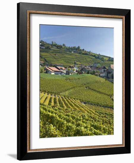 Lavaux Terraced Vineyards on Lake Geneva, Montreux, Canton Vaud, Switzerland, Europe-Angelo Cavalli-Framed Photographic Print