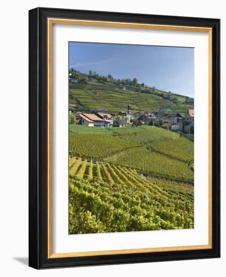 Lavaux Terraced Vineyards on Lake Geneva, Montreux, Canton Vaud, Switzerland, Europe-Angelo Cavalli-Framed Photographic Print