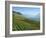 Lavaux Terraced Vineyards on Lake Geneva, Montreux, Canton Vaud, Switzerland, Europe-Angelo Cavalli-Framed Photographic Print