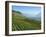 Lavaux Terraced Vineyards on Lake Geneva, Montreux, Canton Vaud, Switzerland, Europe-Angelo Cavalli-Framed Photographic Print