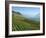 Lavaux Terraced Vineyards on Lake Geneva, Montreux, Canton Vaud, Switzerland, Europe-Angelo Cavalli-Framed Photographic Print