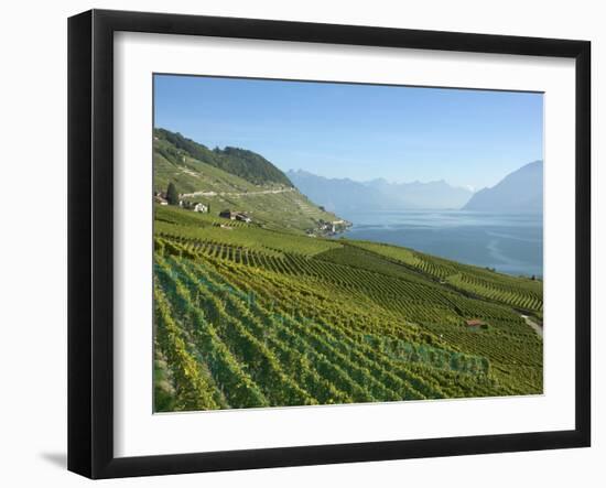 Lavaux Terraced Vineyards on Lake Geneva, Montreux, Canton Vaud, Switzerland, Europe-Angelo Cavalli-Framed Photographic Print