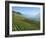 Lavaux Terraced Vineyards on Lake Geneva, Montreux, Canton Vaud, Switzerland, Europe-Angelo Cavalli-Framed Photographic Print