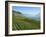 Lavaux Terraced Vineyards on Lake Geneva, Montreux, Canton Vaud, Switzerland, Europe-Angelo Cavalli-Framed Photographic Print