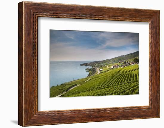 Lavaux Terraced Vineyards on Lake Geneva, Montreux, Canton Vaud, Switzerland, Europe-Angelo Cavalli-Framed Photographic Print