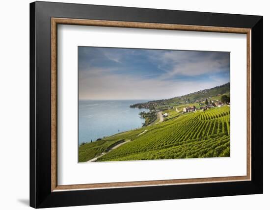 Lavaux Terraced Vineyards on Lake Geneva, Montreux, Canton Vaud, Switzerland, Europe-Angelo Cavalli-Framed Photographic Print